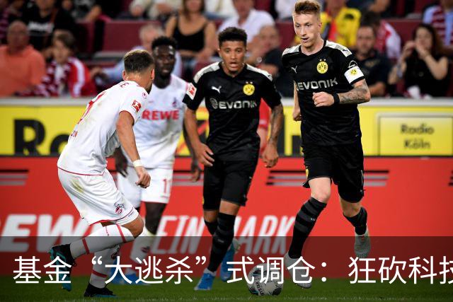 基金“大逃杀”式调仓：狂砍科技仓位！