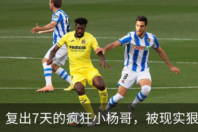 复出7天的疯狂小杨哥，被现实狠狠打了一巴掌