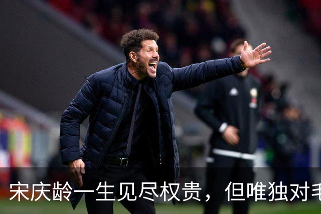 宋庆龄一生见尽权贵，但唯独对毛主席说：您是我遇见过最明智的人