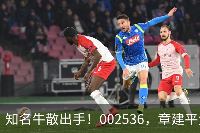 知名牛散出手！002536，章建平大举买入