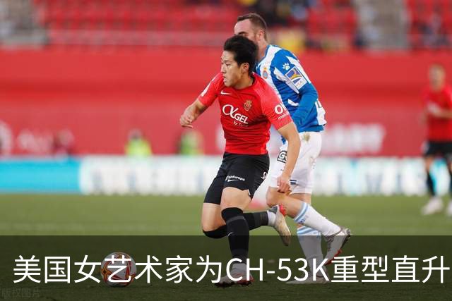 美国女艺术家为CH-53K重型直升机制作个性化涂装 主题为中队绰号