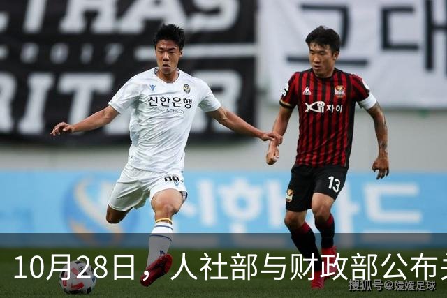 10月28日，人社部与财政部公布关于2026年调整养老金的通知了吗？