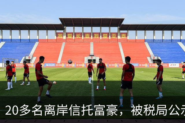 20多名离岸信托富豪，被税局公示催告